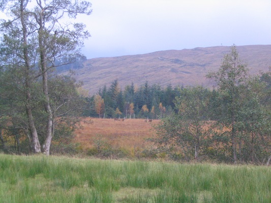 Landschap bij Crainlarich op een wandeling over de West Highland Way op mijn wandelreis in Schotland