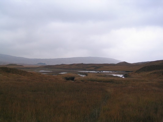 Heidelandschap bij Bridge of Orchy op een wandeling over de West Highland Way op mijn wandelreis in Schotland