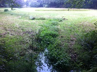 Hezinge op wandeling over het Noaberpad van Ootmarsum naar Vasse