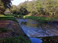 Buurserbeek op wandeling over Noaberpad van Zwillbrock naar Haaksbergen