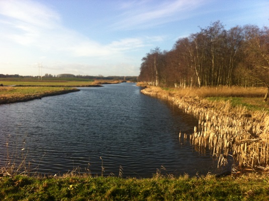 Wandelen over het Groot Frieslandpad bij Lutjebroekerweel
