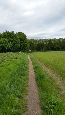 Wandelen over het Oudste Wandelpad van Nederland op pad richting Remmerden