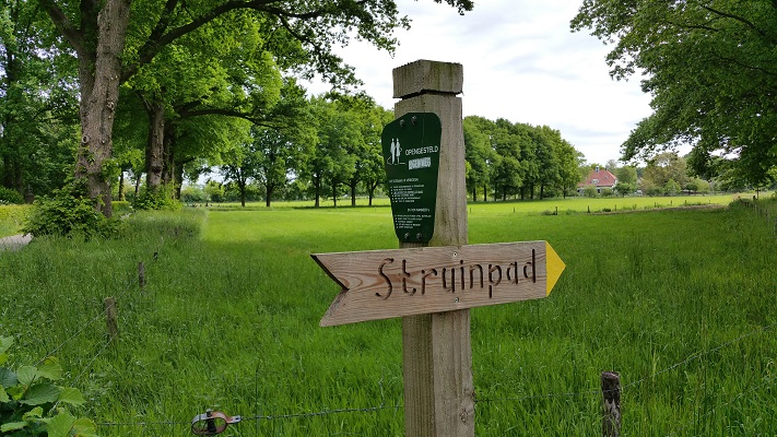 Wandelen over het Oudste Wandelpad van Nederland op het struinpad bij Rhenen