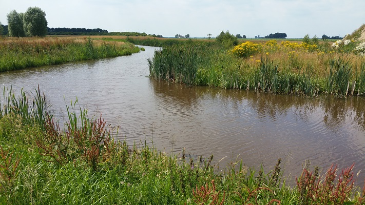 De Nieuwe Runde op een wandeling over het Noaberpad van Ter Apel naar Bargerveen