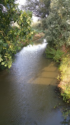 Wandelen over het Peerkepad bij der Voorste Stroom in Oisterwijk