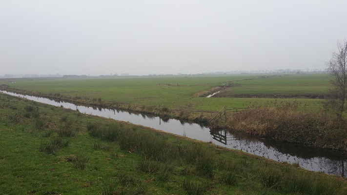 Wandelen over het Groot Frieslandpad langs het Nieuwe Diep