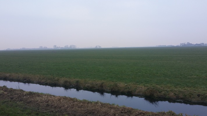 Wandelen over het Groot Frieslandpad door weilanden in Warnahuizen