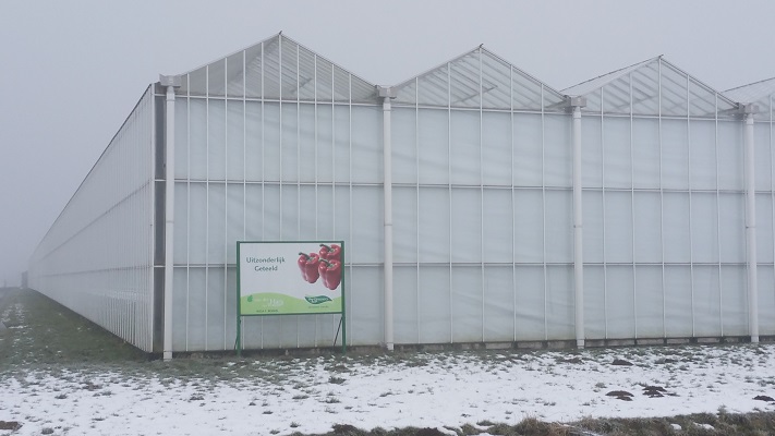 Wandelen in Park Lingezegen over Glasteeltpad bij glastuinbouw Agropark