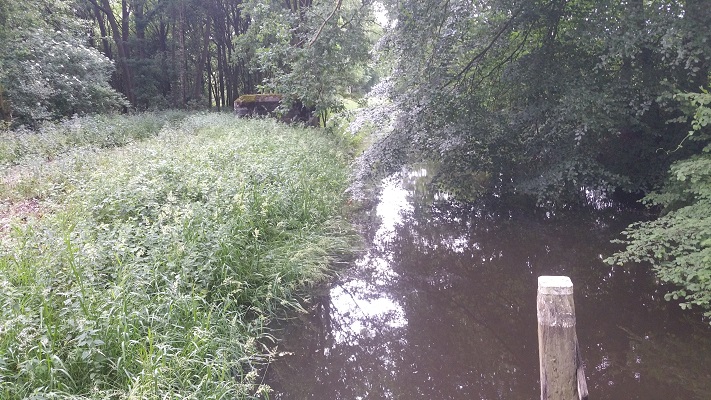 Peelpad-Langenboom-Grave-3 Wandelen over het Peelpad langs Defensiekanaal in landgoed Tongelaar