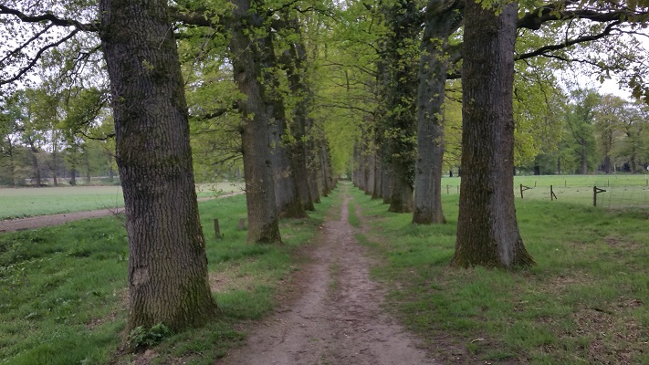 Warnsborn op wandeling over Roots Natuurpad van Schaarsbergen naar Doorwerth