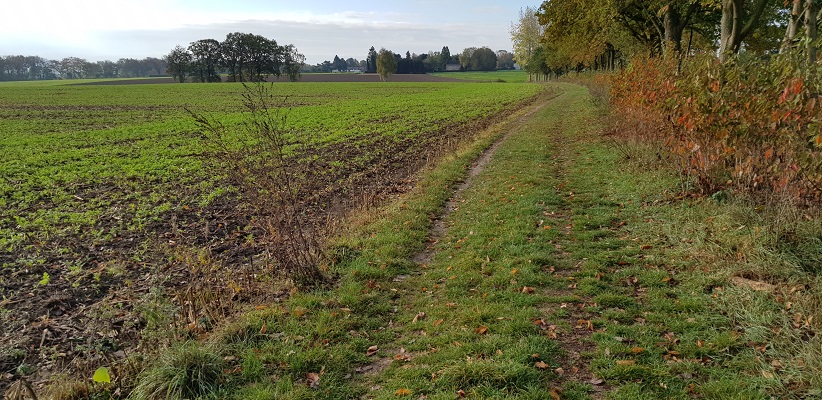 Landschap bij Rekem in België langs de Maas op wandeling over Maaspad van Maastricht naar Berg aan de Maas