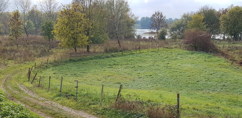 Landschap bij Rekem in België langs de Maas op wandeling over Maaspad van Maastricht naar Berg aan de Maas