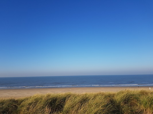 Wandelen over NS-wandeling Noordhollands Duinreservaat aan de Noordzee bij Egmond aan Zee