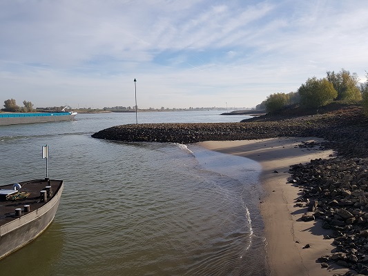 Wandelen over klompenpad Doddendaelpad langs de Waal bij Beuningen
