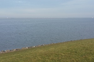 IJsselmeer op wandeling over Almerepad
