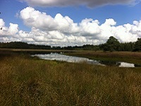 Ganzepoel op wandeling over het Drenthepad van Appelscha naar Diever