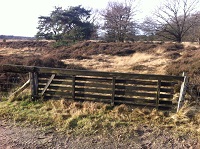 Dwingelose Heide op een wandeling over het Drenthepad van Hooghalen naar Beilen