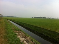 Anser hooilanden op wandeling over Drenthepad van Uffelte naar Ruinen