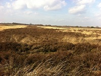 Mantingerzand op een wandeling over het Drenthepad van Westerbork naar Oosterhesselen