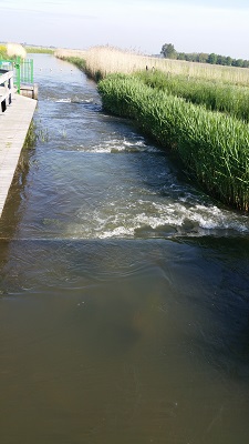 Wandelen over het Grebbeliniepad bij een stuw in het Valleikanaal