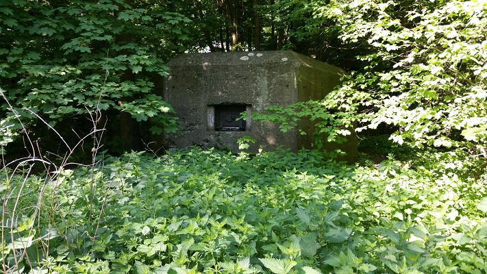 Wandelen over het Grebbeliniepad bij een bunker op de Grebbeberg