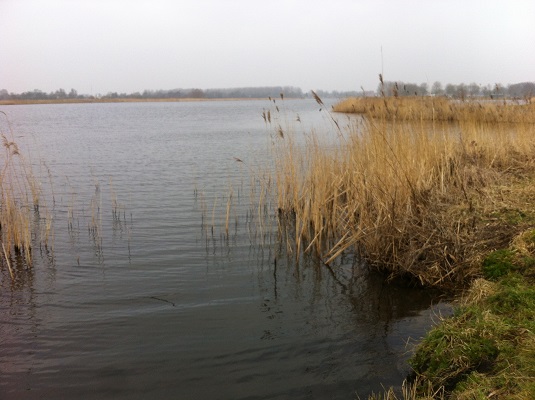 Wandelen over het Groot Frieslandpad langs de Geeuw