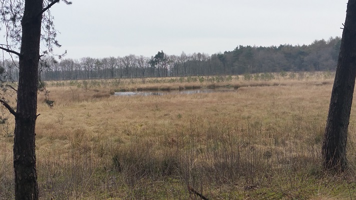 Wandelen over het Groot Frieslandpad in Norg