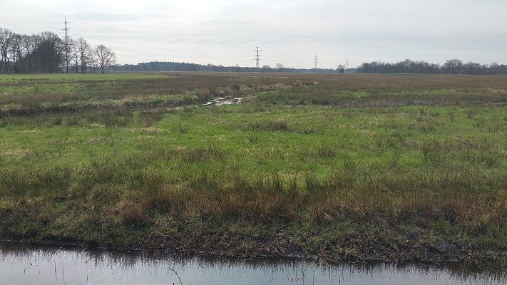 Wandelen over het Groot Frieslandpad langs het Oostervoortsche Diep in Norg