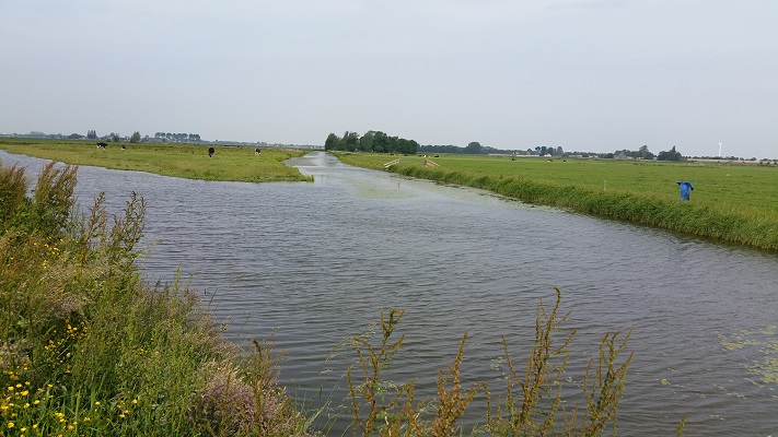Wandelen over het Groot Frieslandpad langs de Kolk van Dussen