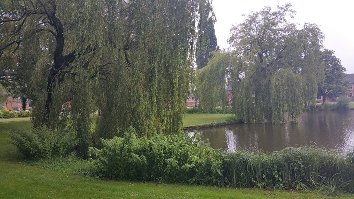 Wandelen over het Groot Frieslandpad door Park in Veendam