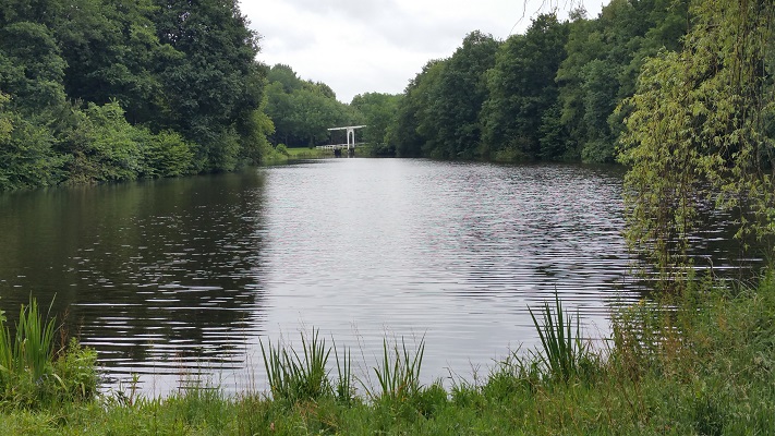 Wandelen over het Groot Frieslandpad door het Borgerspark in Veendam