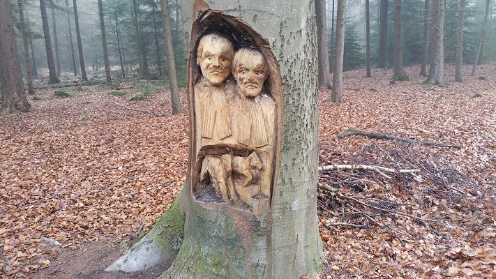 Wandelen over het Groot Frieslandpad langs bomenkunst in Olterterp