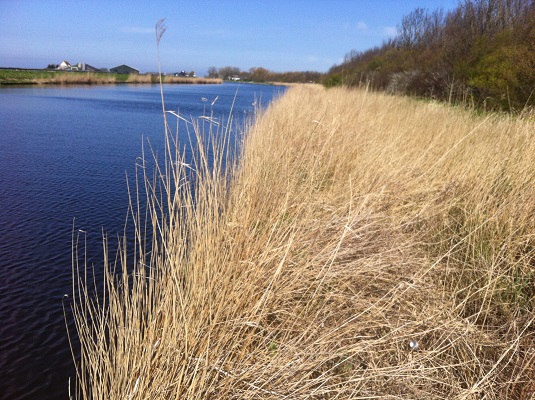 Groot-Frieslandpad-Oudkarspel-Berge-aan-Zee-10 Wandelen over het Groot Frieslandpad langs het Noordhollandsch Kanaal