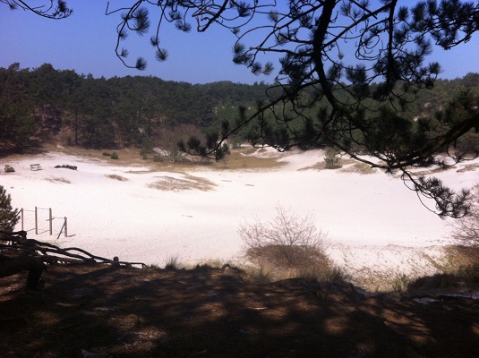 Groot-Frieslandpad-Oudkarspel-Berge-aan-Zee-11 Wandelen over het Groot Frieslandpad door de Schoorlse Duinen