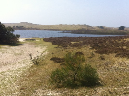 Groot-Frieslandpad-Oudkarspel-Berge-aan-Zee-12 Wandelen over het Groot Frieslandpad door de duinen bij Bergen aan Zee