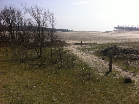 Wandelen over het Groot Frieslandpad door de duinene