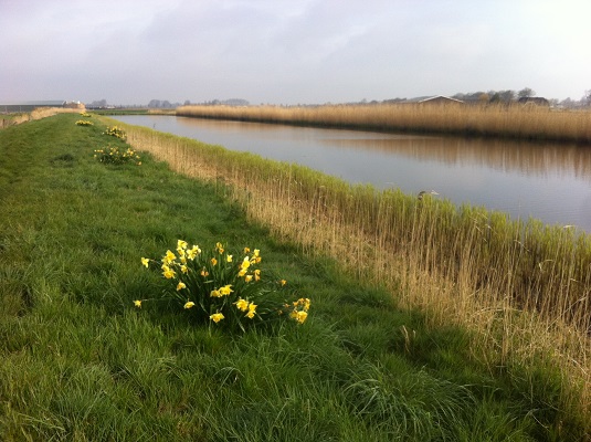 Groot-Frieslandpad-Oudkarspel-Berge-aan-Zee-3 Wandelen over het Groot Frieslandpad langs de Ringsloot