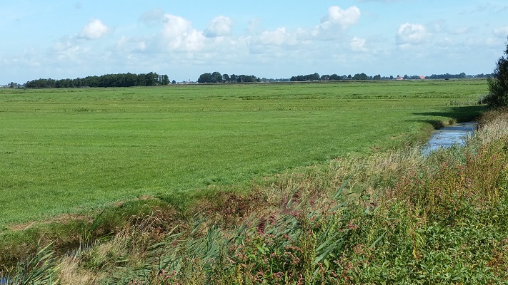 Wandelen over het Groot Frieslandpad door het polderland
