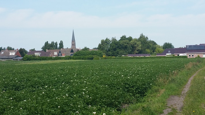 Wandelen over het Groot Frieslandpad met zicht op Oude Pekela