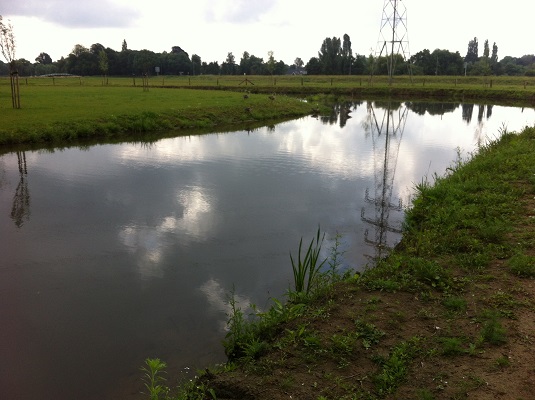 Hanzestedenpad-Dagwandeling-de-Hoofdige-Boer-1 Oude IJssel tijdens een dagwandeling De Hoofdige Boer over het Hanzestedenpad
