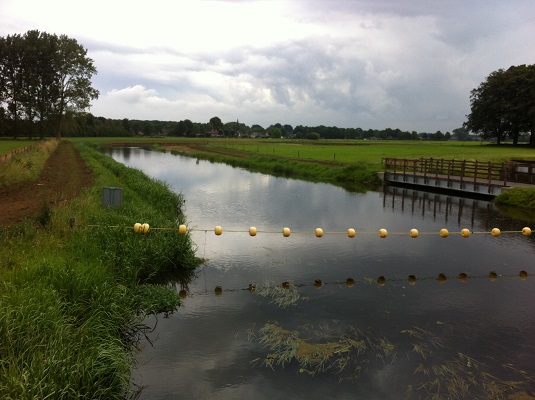 Hanzestedenpad-Dagwandeling-de-Hoofdige-Boer-4 Oude IJssel tijdens een dagwandeling De Hoofdige Boer over het Hanzestedenpad