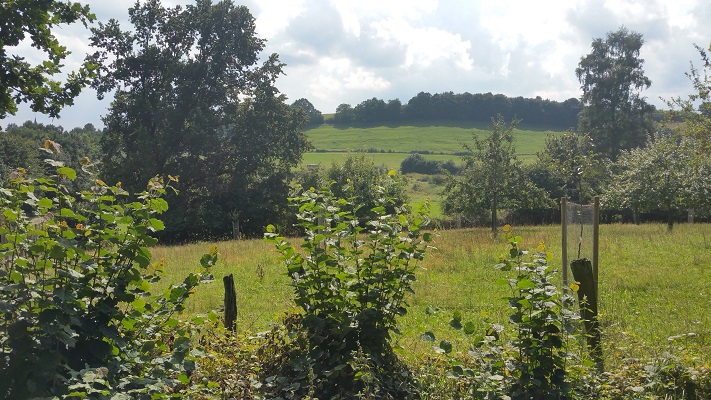 Landschap tijdens wandeling over Hermannsweg van Brochterbeck naar Hockendes Weib op wandelreis in het Teuroburgerwald in Duitsland