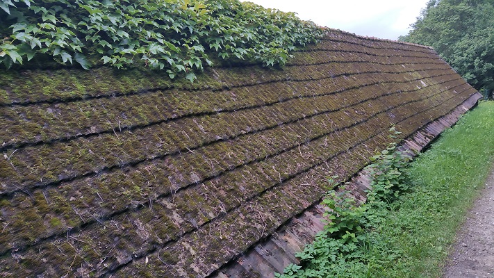 Mos op pannen tijdens wandeling over Hermannsweg van Brochterbeck naar Hockendes Weib op wandelreis in het Teuroburgerwald in Duitsland