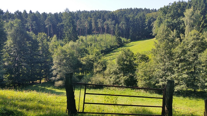 Landschap tijdens wandeling over Hermannsweg van Hagen naar Borgberg Duvensteine op wandelreis in het Teuroburgerwald in Duitsland