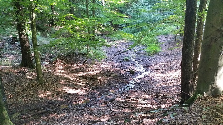 Bron in bergen tijdens wandeling over Hermannsweg van Hagen naar Borgberg Duvensteine op wandelreis in het Teuroburgerwald in Duitsland