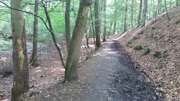 Bospad tijdens wandeling over Hermannsweg van Riesenbeck naar Hockendes Weib op wandelreis in het Teuroburgerwald in Duitsland