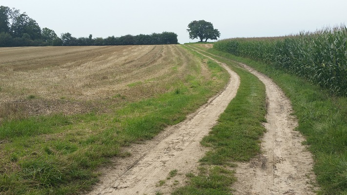 Landweg tijdens wandeling over Hermannsweg van Tecklenburg naar Brochterbeck op wandelreis in het Teuroburgerwald in Duitsland