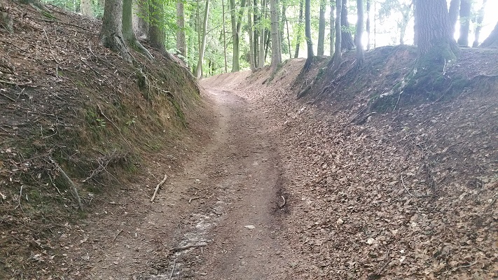 Bosweg tijdens wandeling over Hermannsweg van Tecklenburg naar Brochterbeck op wandelreis in het Teuroburgerwald in Duitsland