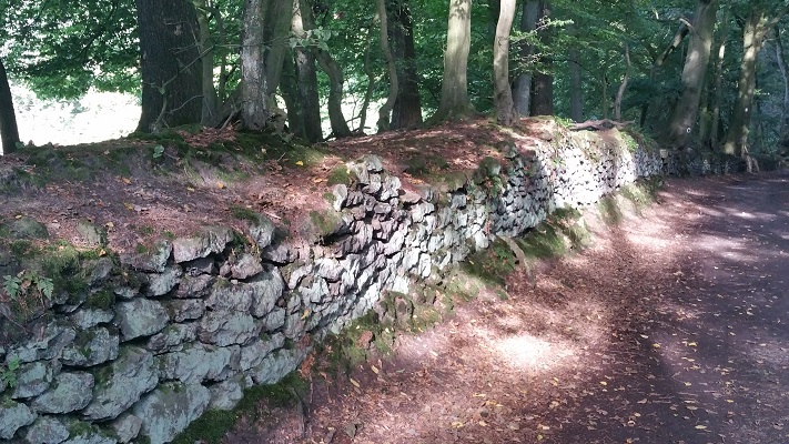 Stenen muur langs bosweg tijdens wandeling over Hermannsweg van Tecklenburg naar Brochterbeck op wandelreis in het Teuroburgerwald in Duitsland