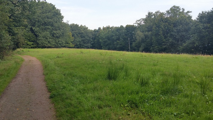Landweg langs bos tijdens wandeling over Hermannsweg van Tecklenburg naar Brochterbeck op wandelreis in het Teuroburgerwald in Duitsland